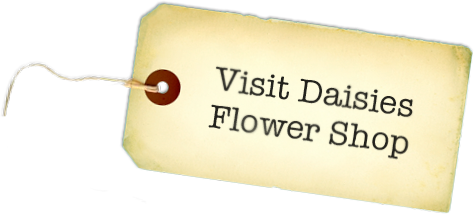 Visit Daisies Flower Shop